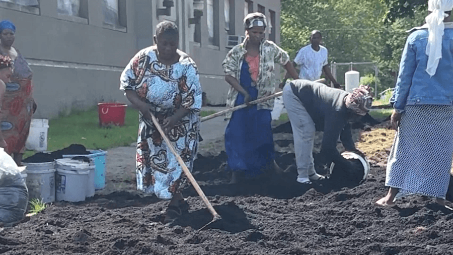 Erie families plant their own veggies at new community garden