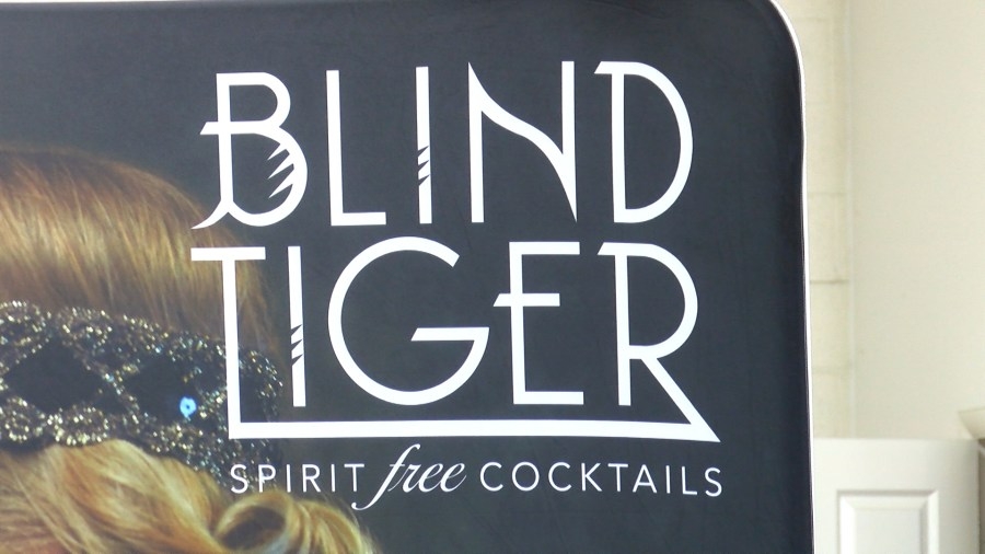 Blind Tiger receives investment of nearly $200K thanks to PA program