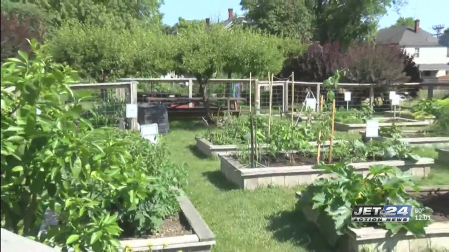 Erie County organizations awarded $328K for agriculture projects