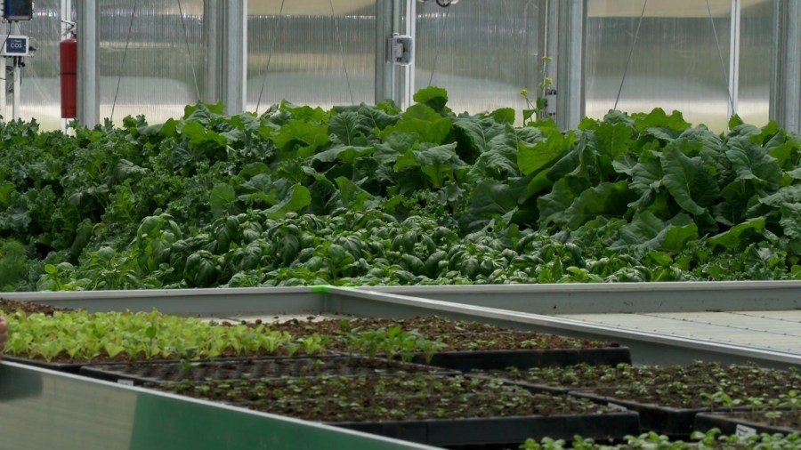Grow Erie hosts open house to show off years of work at Savocchio Park