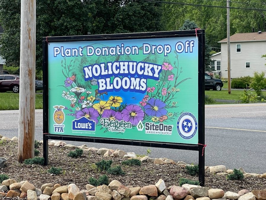Plant drive to benefit Hurricane Helene victims