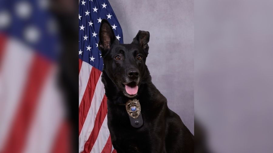 Bristol, TN K9 dies after medical emergency