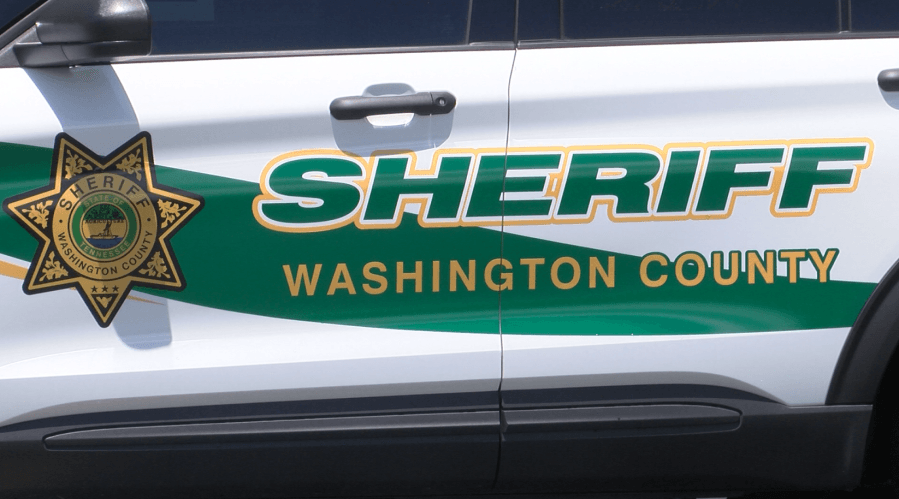 WCSO: Jonesborough man attempts to flee drug charges, runs out of gas