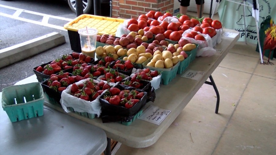 Federal and state funding cuts could affect local farmers' markets