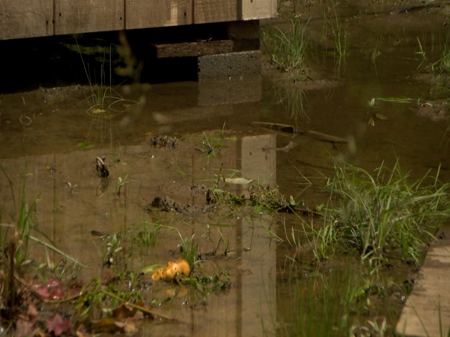 Bumpus Cove residents want answers for ongoing flooding issue