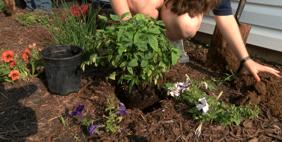 Nolichucky Blooms complete projects at Helene impacted homes