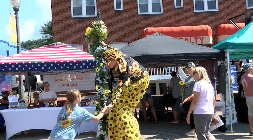 Mountain City proposes fees for events like Sunflower Festival and use of ball parks