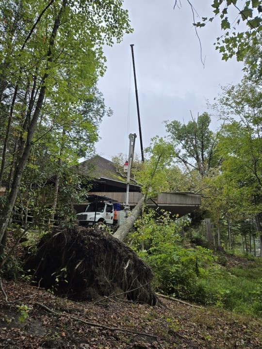 Bays Mountain Park receives $150k for Hurricane Helene recovery