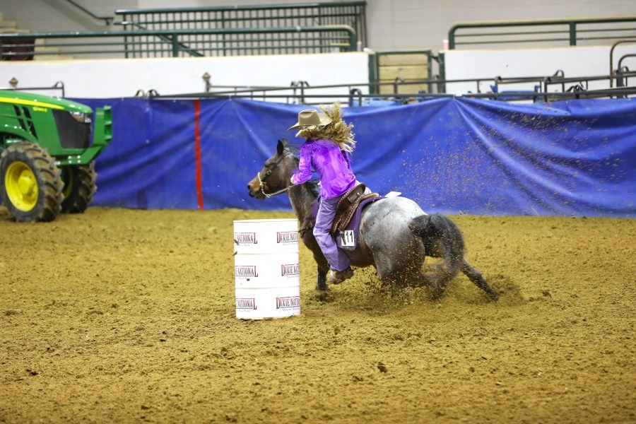 Here's what you can expect at the 60th Dixie National Rodeo