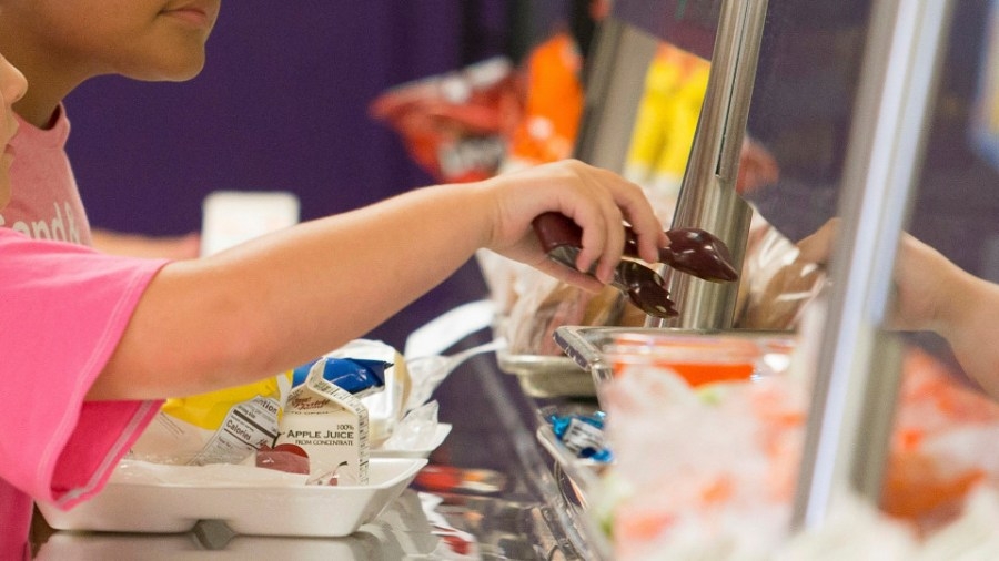 Madison County Schools will offer free summer meals for children
