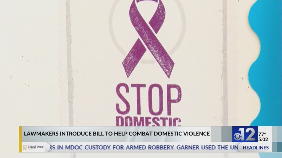Bill would establish Domestic Violence Fatality Review Board in Mississippi
