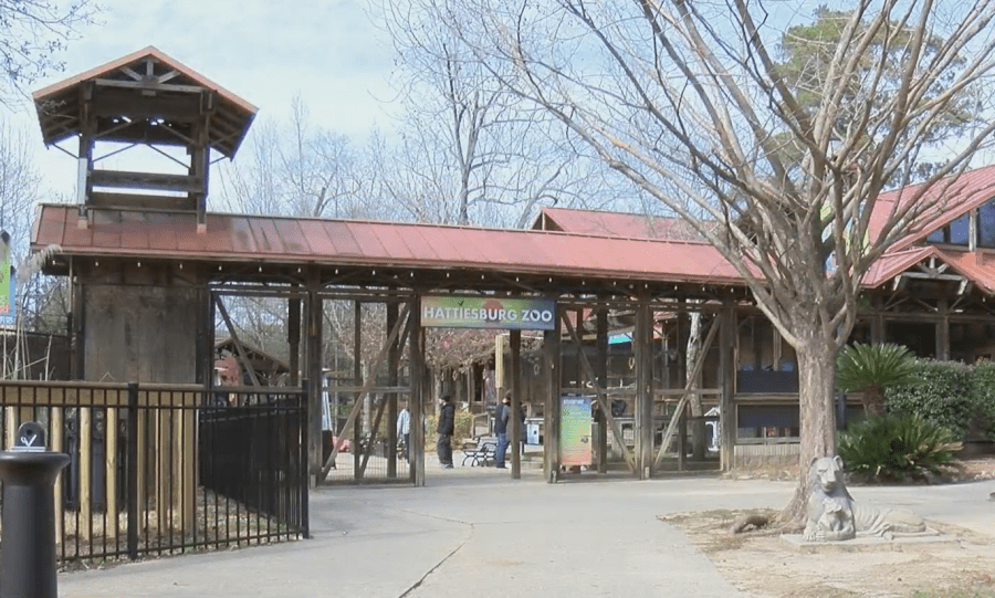 Homeschool Days will return to Hattiesburg Zoo in 2025