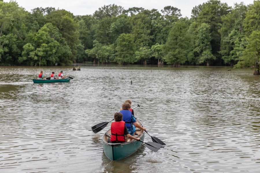 Mississippi museum hosts summer camps for kids' exploration