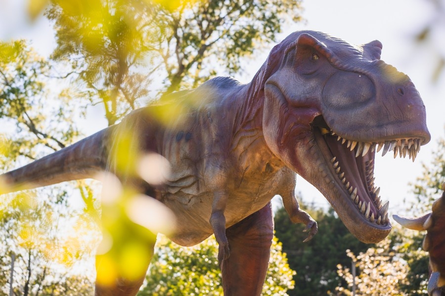 Mississippi's dinosaur discoveries reveal its prehistoric past