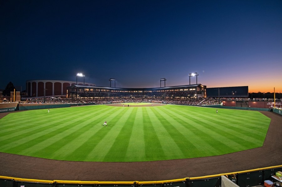 Who is the new Voice of the Diamond Dawgs?