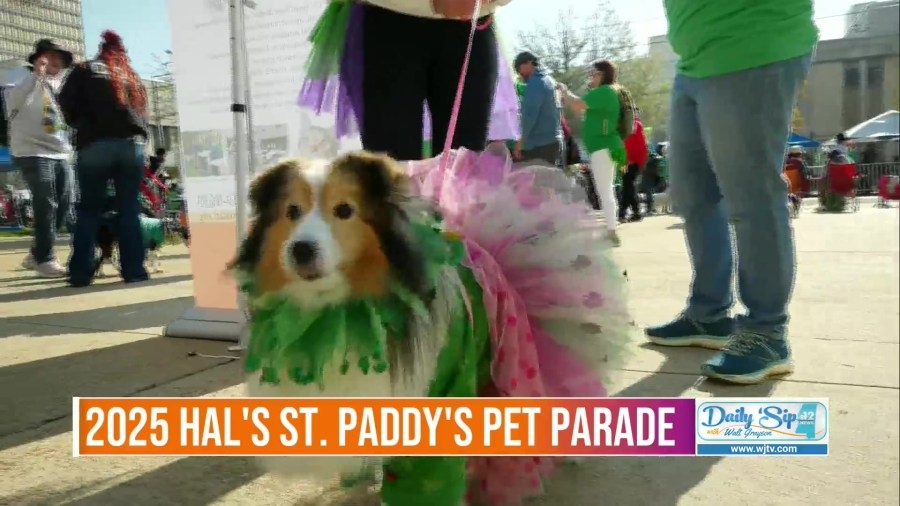 2025 MARL Pet Parade