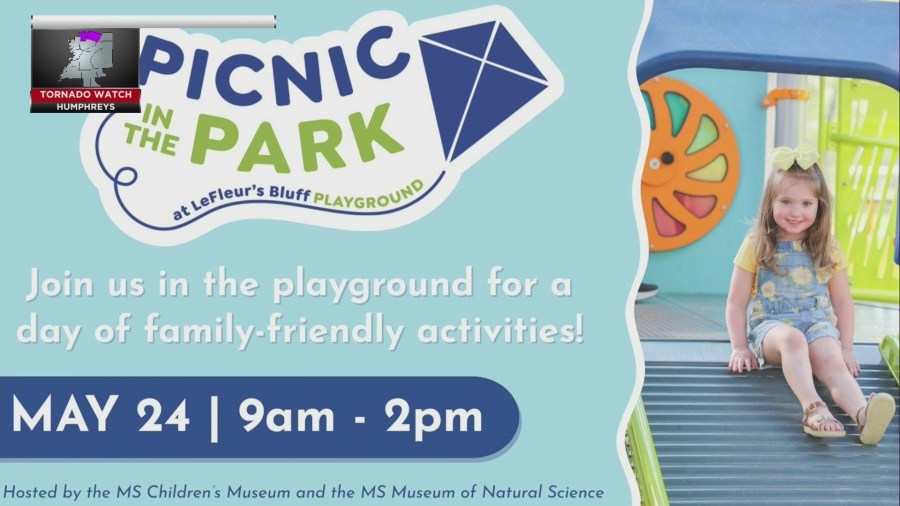 Picnic in the Park at LeFleur's Bluff Playground