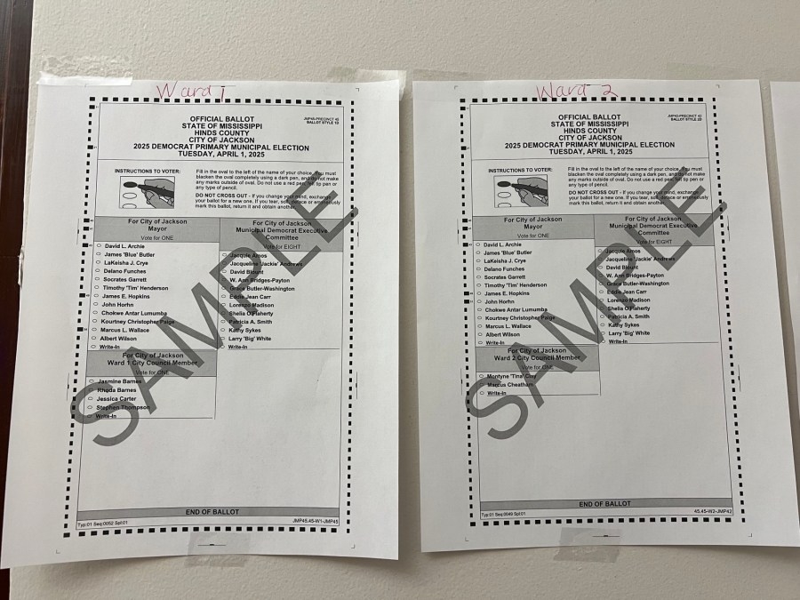 Absentee voting now underway in Jackson