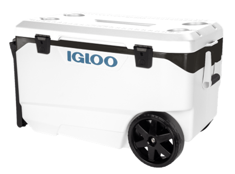 More Igloo coolers recalled after fingertip amputations