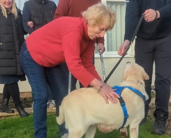 Watch: Stolen Labrador reunited with family after nearly 8 years