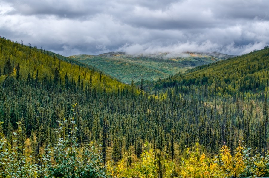 A heat advisory is in effect in Alaska for the first time ever