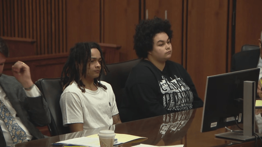 No prison for pair who left dog chained in garage