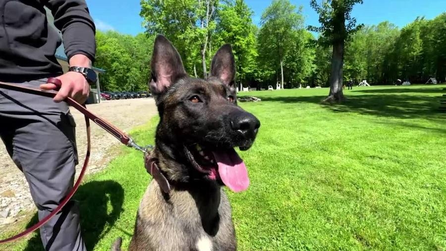 How Euclid's new K-9 honors fallen officer Jacob Derbin's legacy