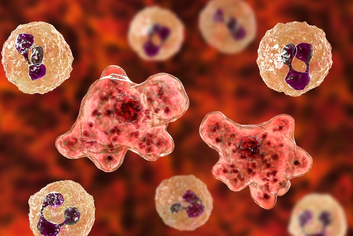 Brain-eating amoeba: How are people infected?