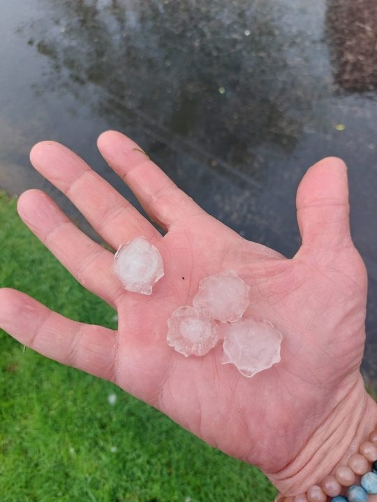 SEE IT: Storms drop huge hail chunks, kick up strong winds