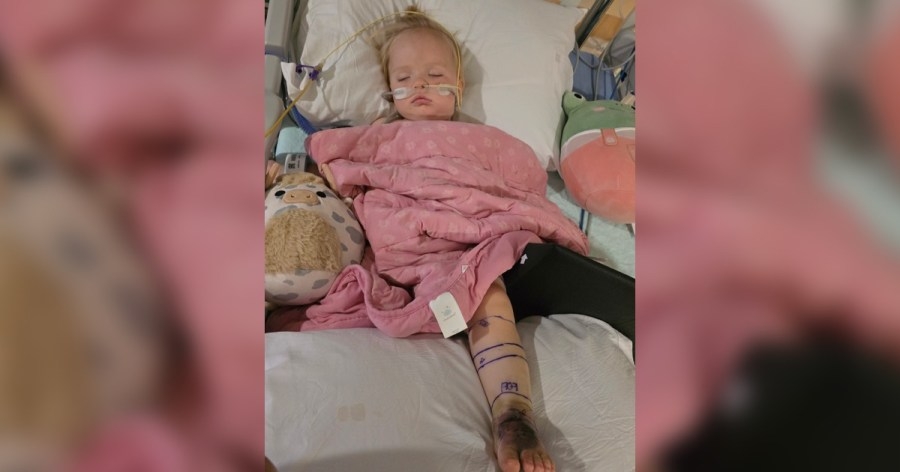 ‘She's a miracle': Toddler bit twice by rattlesnake, received more than 30 vials of antivenom