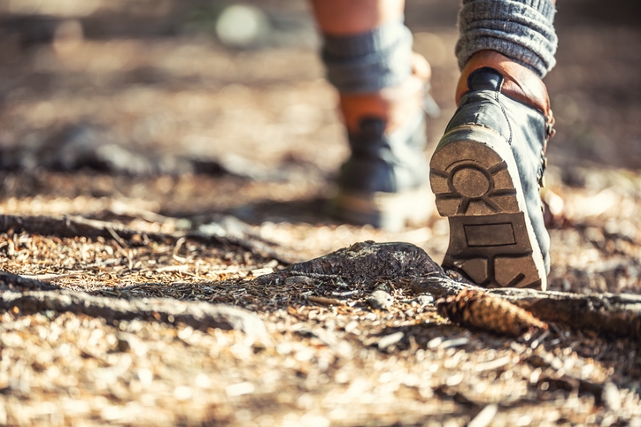2 lost hikers report friend dead. Ranger learns they were actually just on mushrooms