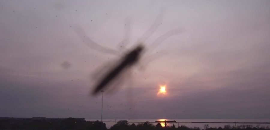Bugging Ohio! Right now it's midges —what's next!?