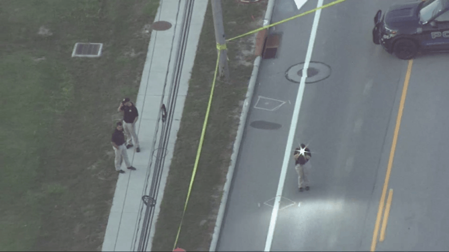 Suspect allegedly tried to attack officer with hammer: I-Team