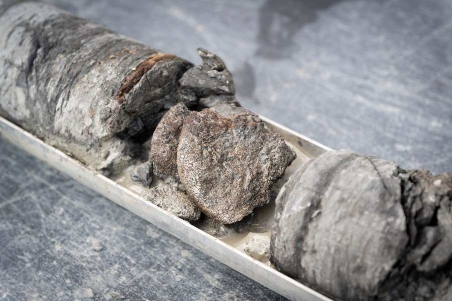 70 million-year-old dinosaur fossil found beneath Denver museum's parking lot