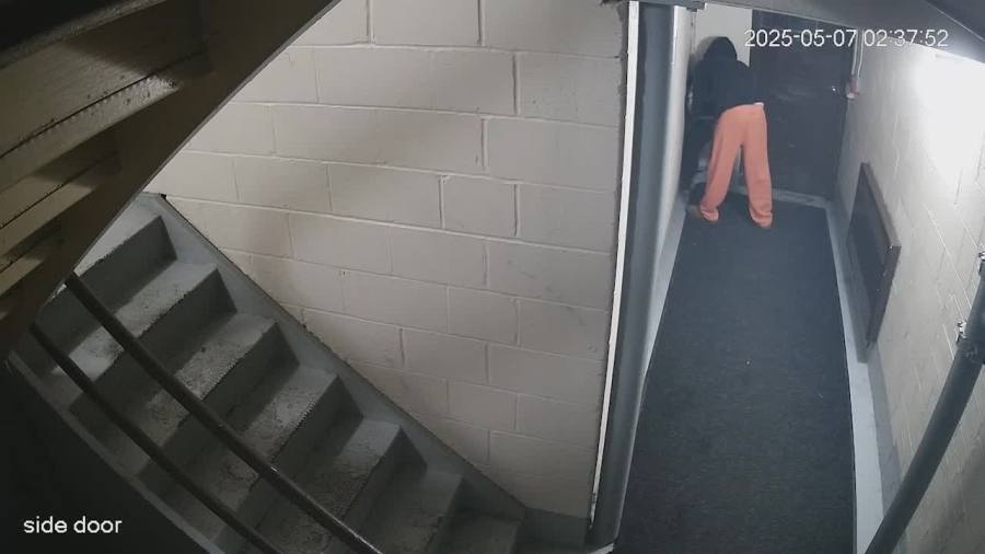 ‘Very disturbing': Local man facing felony after caught on video abusing his pet dog