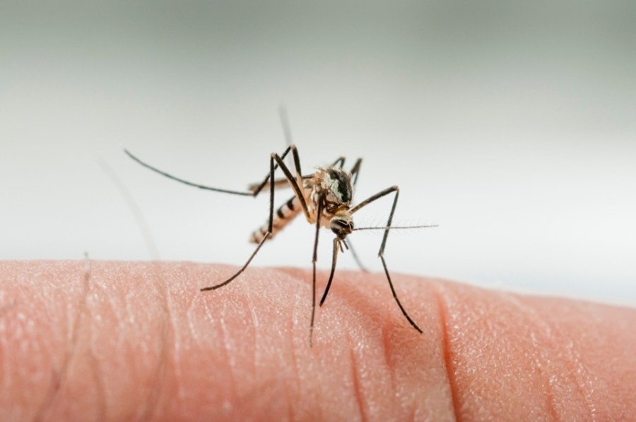 Rare mosquito-borne virus confirmed in Northeast Ohio
