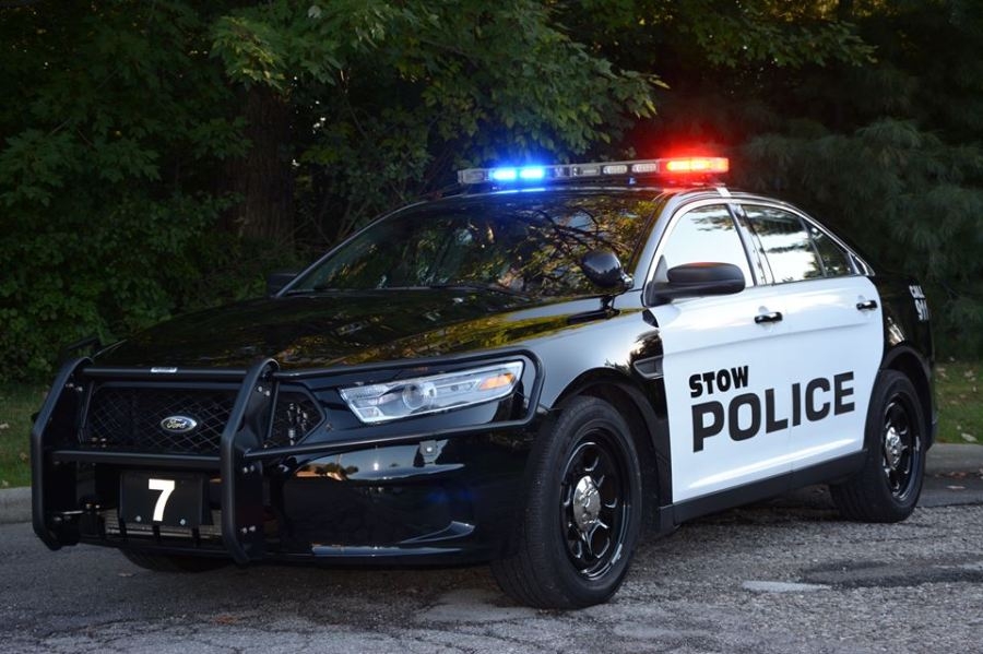 Boy seen attacking baby goose at local park: police