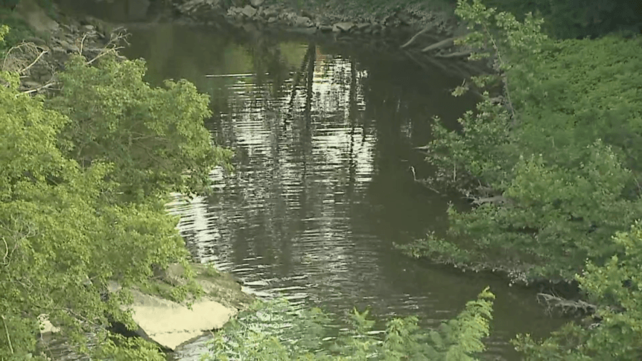 Body of teen who fell into Black River found
