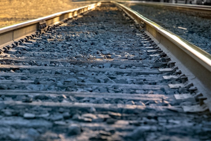 Woman killed by train while trying to save dog from New Hampshire tracks: Police