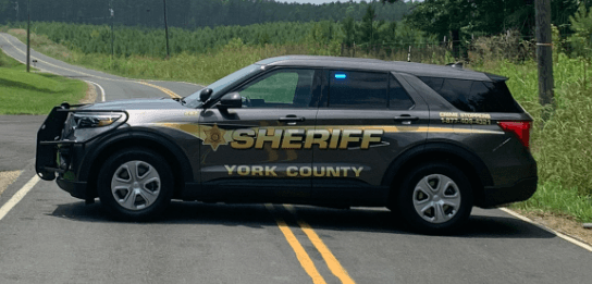 York County deputy accused of leaving her dog outside for days without proper food or water: Sheriff