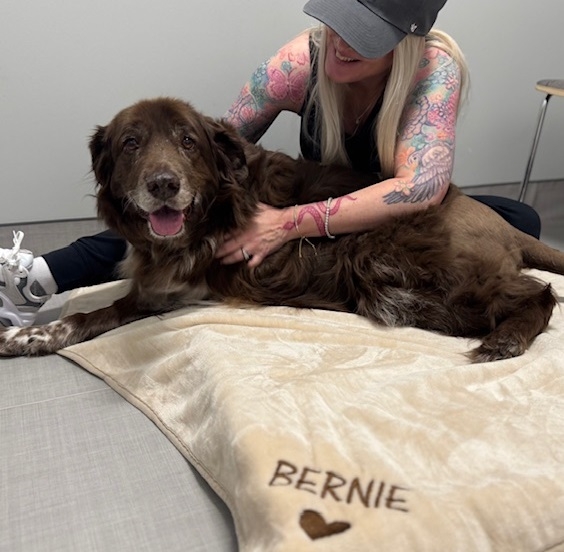 ‘Part of something that could be huge': NC dog part of clinical trial testing experimental canine cancer vaccine