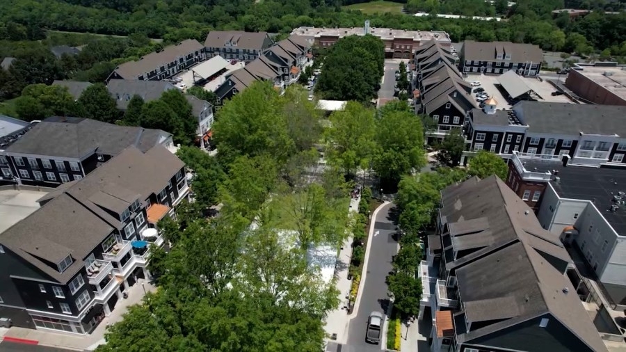 Planning board denies recommendation of Birkdale Village redevelopment plans