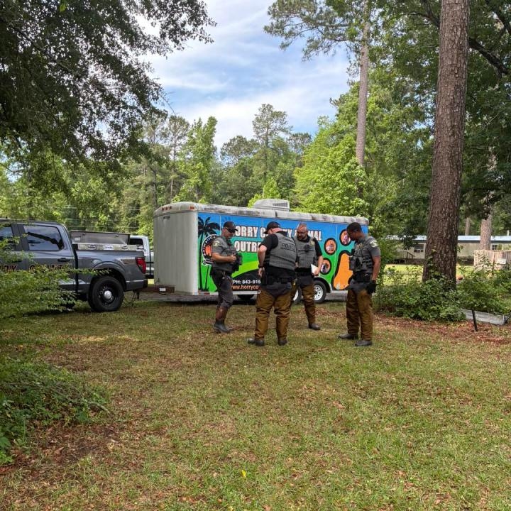 150 animals seized from Horry County property, police say; woman arrested