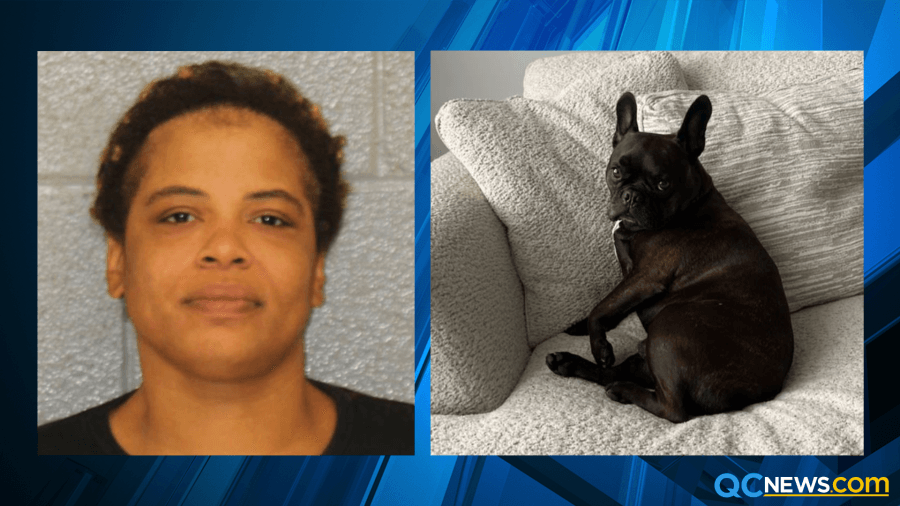 Charlotte mother charged in ‘Julio' the French Bulldog's disappearance