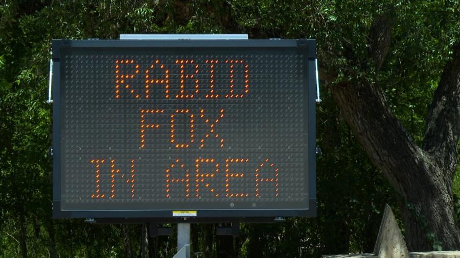 Likely ‘rabid' fox bites hiker 6 times in rare attack