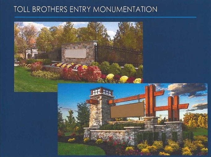 Weddington mayor breaks tie to deny 62-home development near eagle habitat