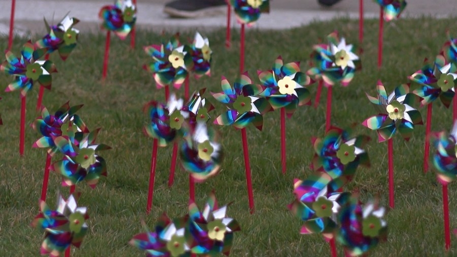 Over 1,300 pinwheels planted to represent child abuse and neglect cases in Trumbull County