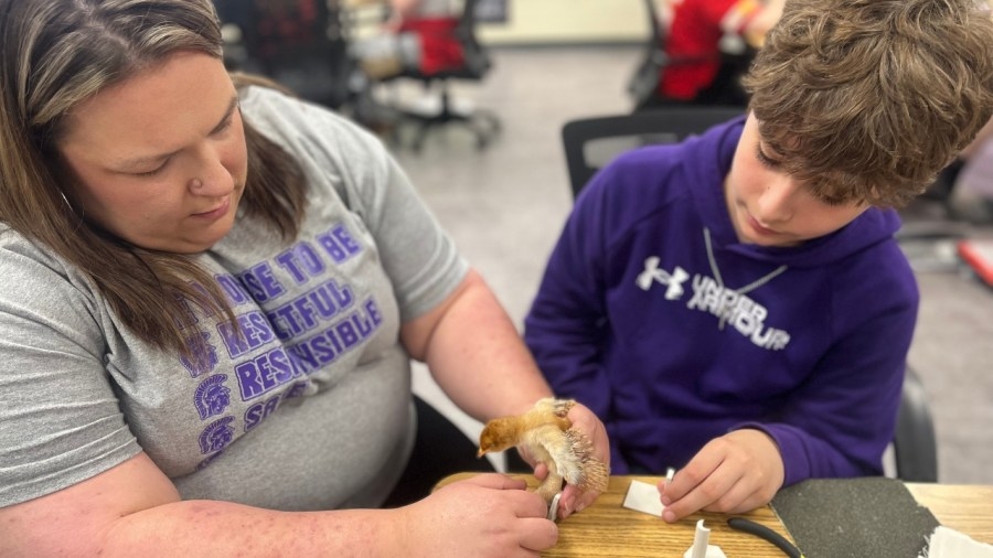 Local elementary students use technology to help chick with broken leg