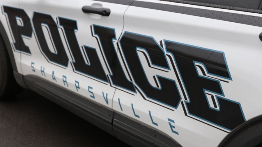 Great Dane found severely malnourished in Sharpsville; owner facing charges