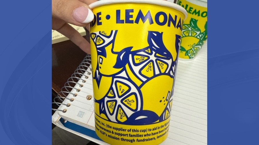 Local company to raise money with lemonade stand